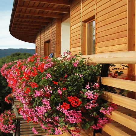 Hotel Dolomitenblick 테렌토 외부 사진