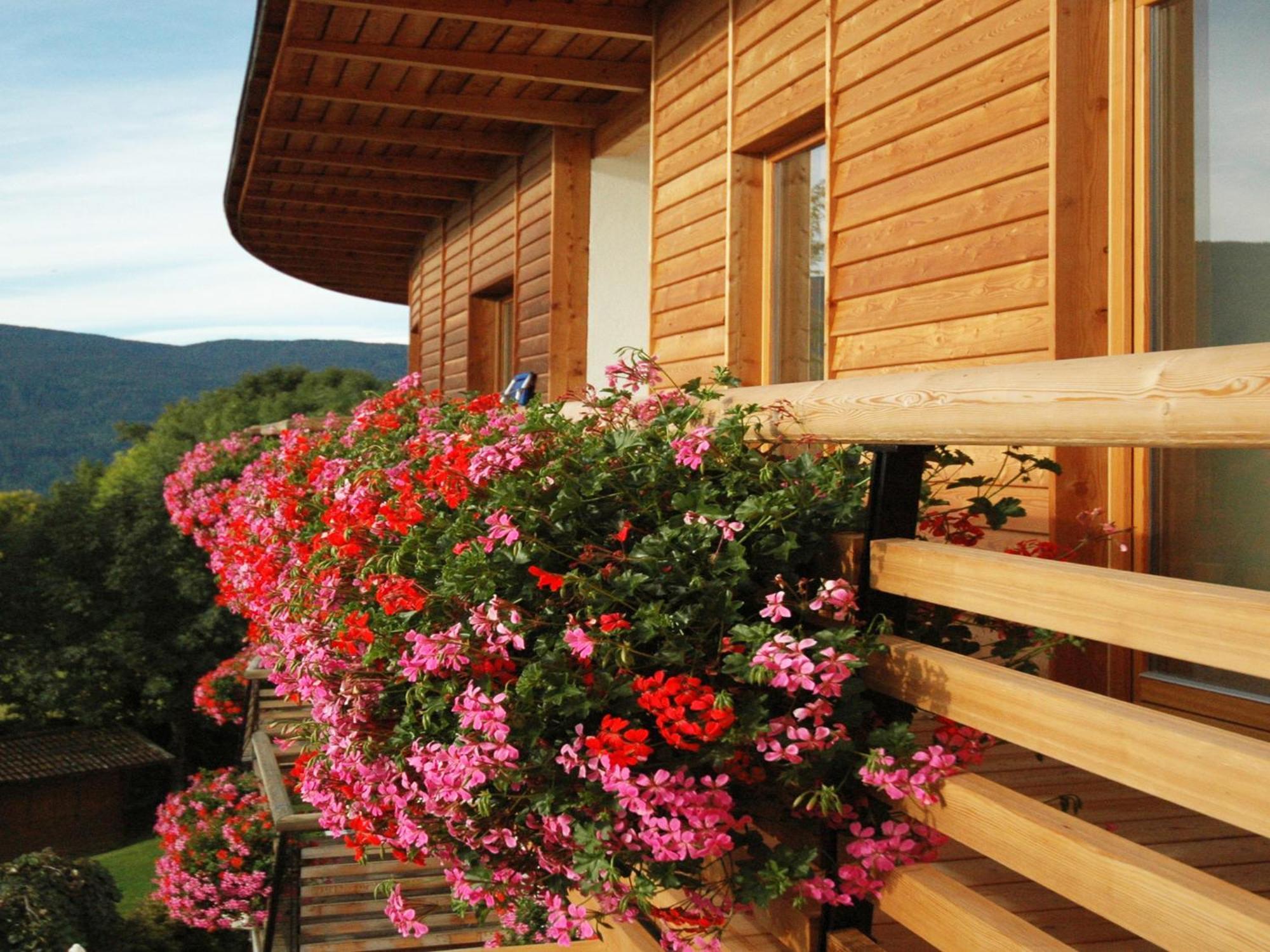 Hotel Dolomitenblick 테렌토 외부 사진